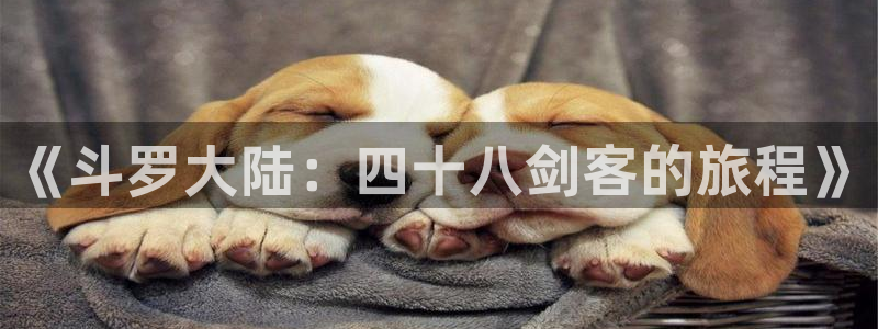 海贼王漫画樱花漫画免费观看：《斗罗大陆：四十八剑客的旅程》
